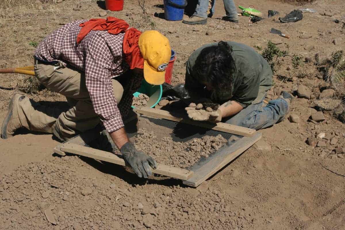 International Archaeology Day