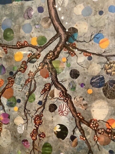 Food Webs and Nutrient Cycles - Art for Upper Elementary Students